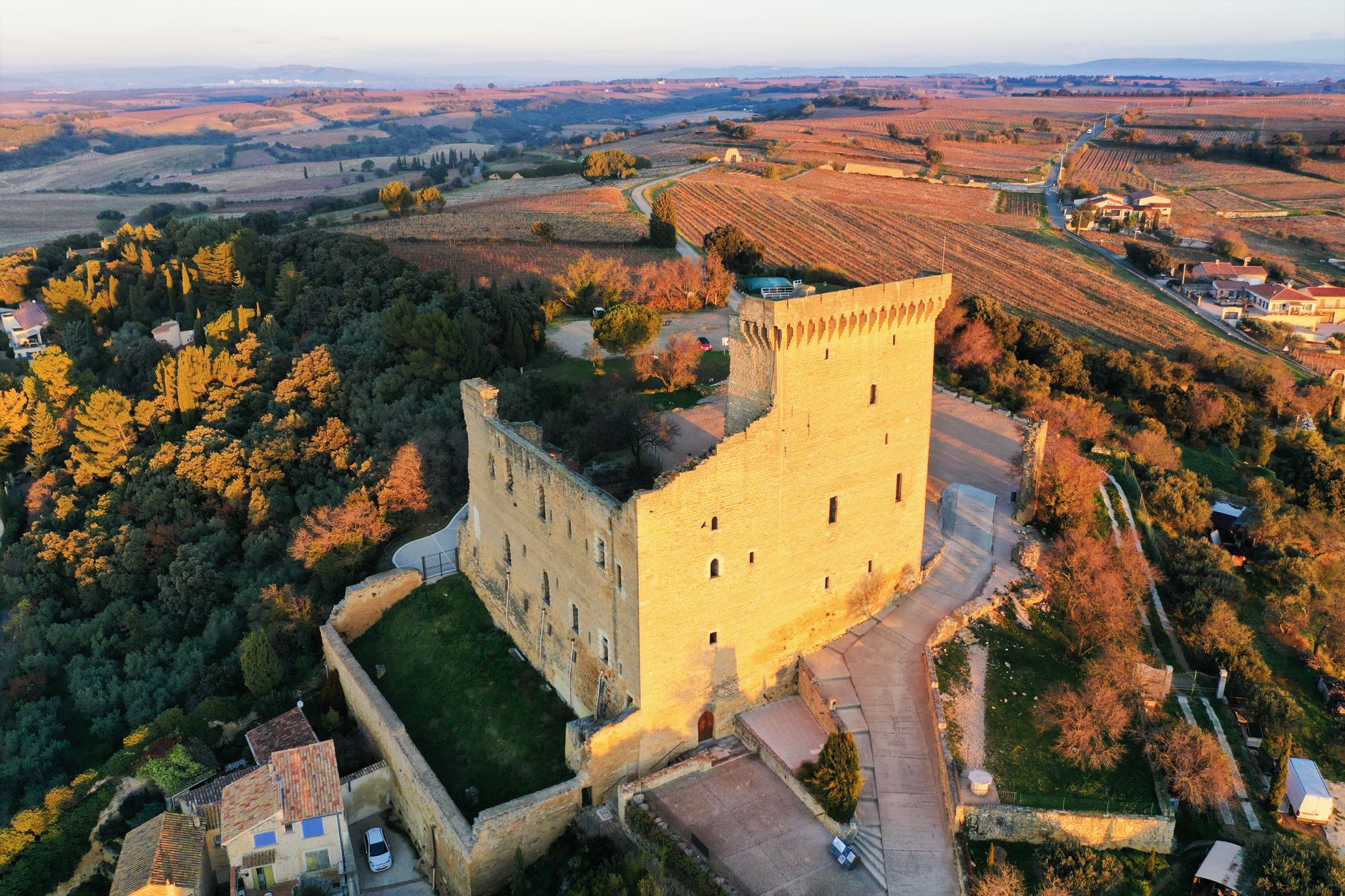 Château français et vignobles au coucher du soleil